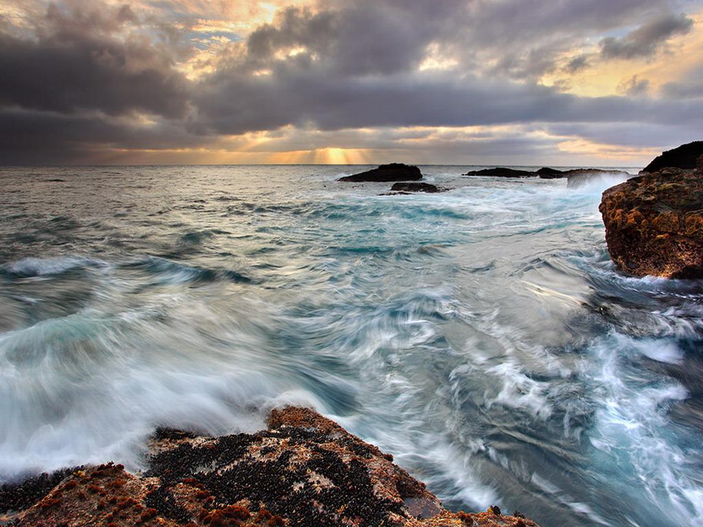 обои Sea and Storm - Point Lobos, California фото