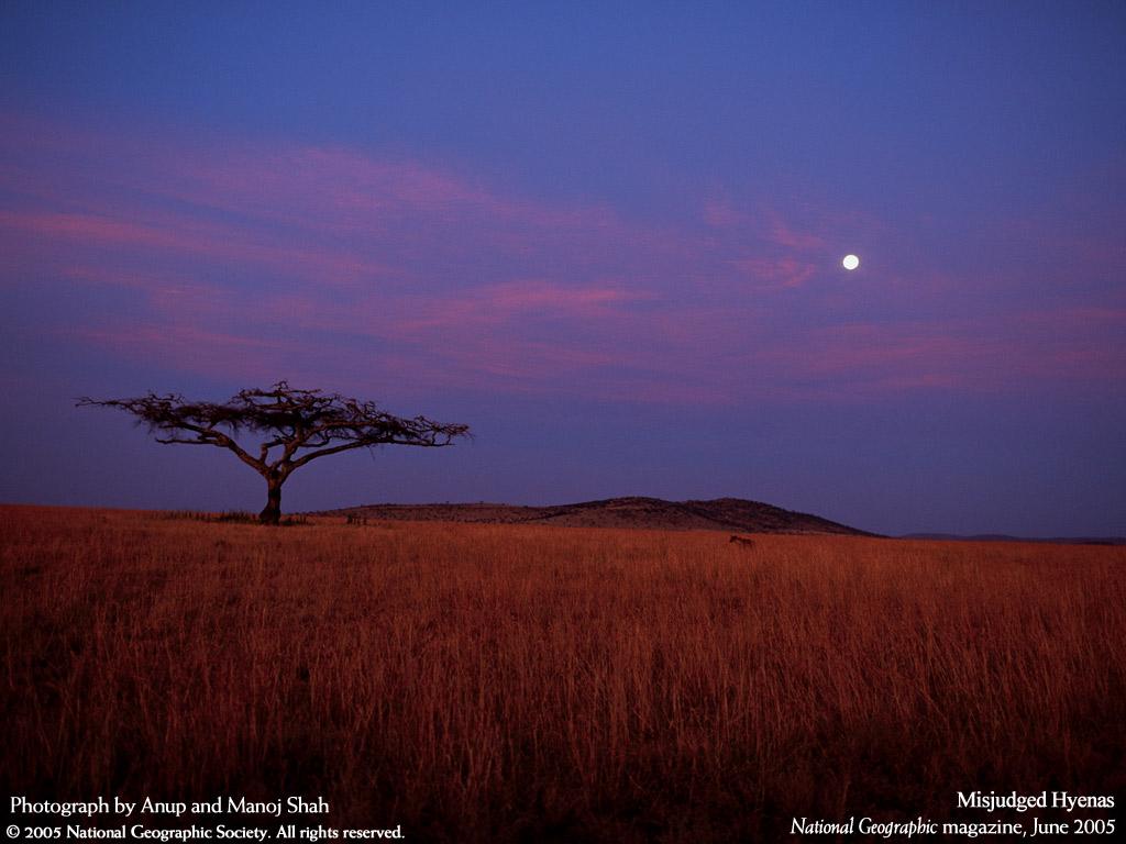 обои Луна в Африке фото