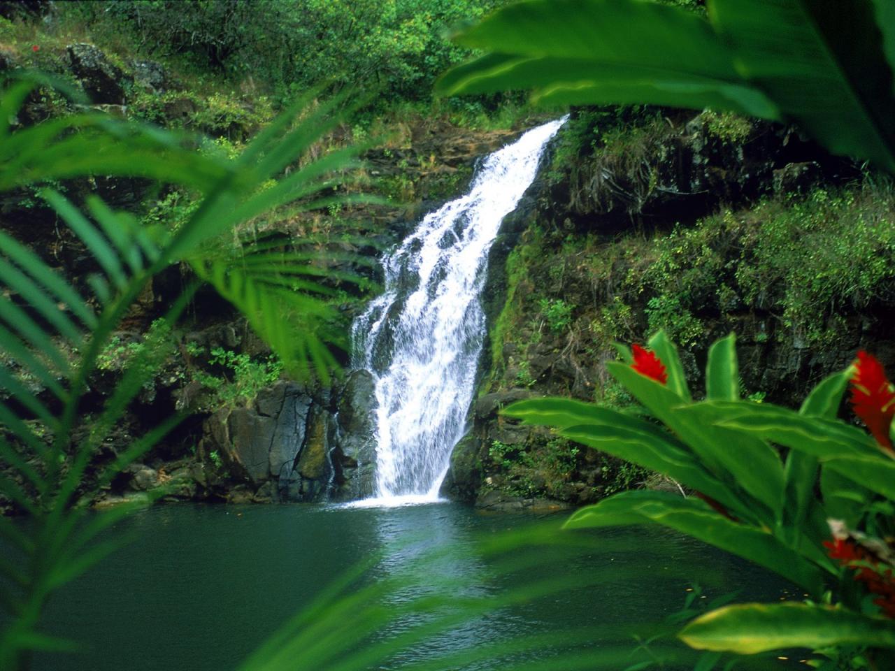 обои Waimea Falls, Oahu, Hawaii фото