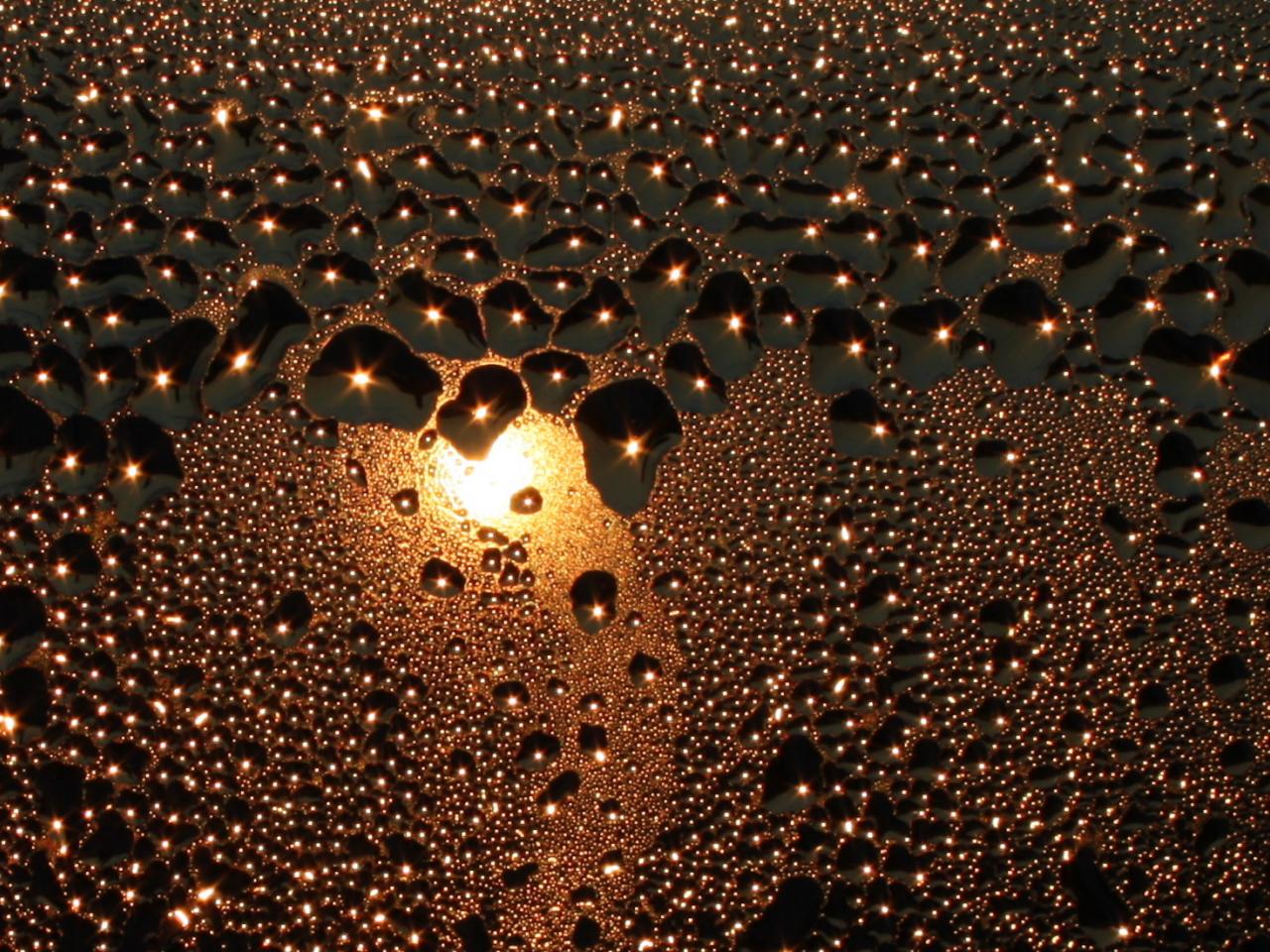 обои Water drops on the window фото