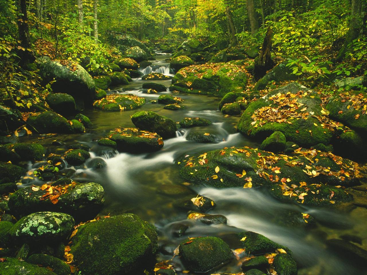 обои Roaring Fork, Timed Exposure, Great Smoky Mountains фото