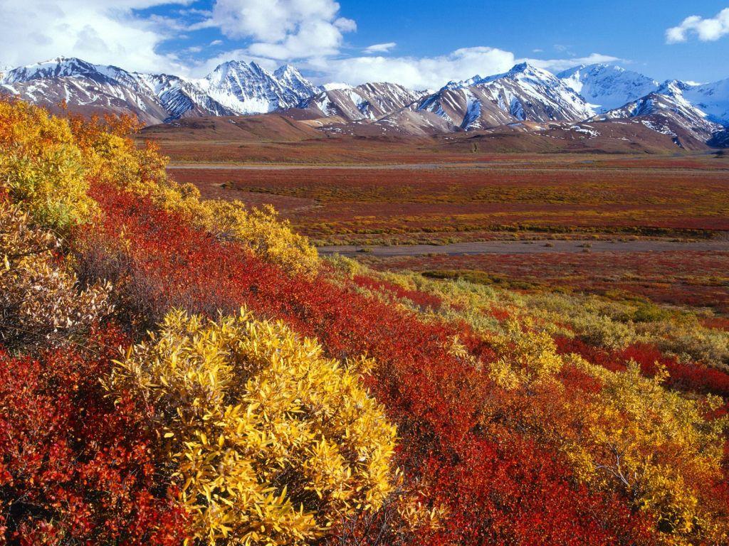 обои Alaska Range, Denali National Park, Alaska фото