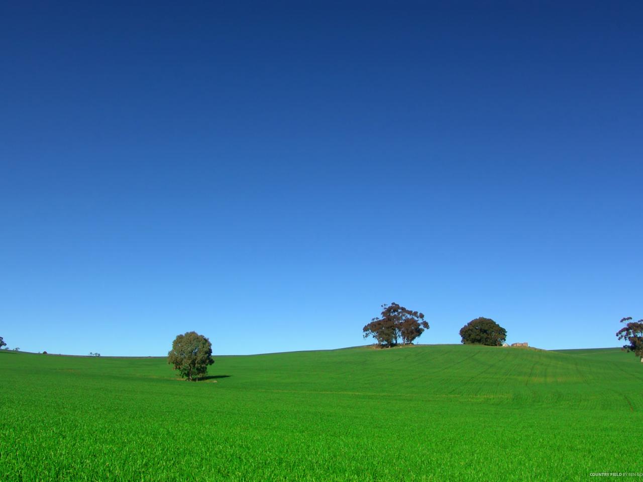 обои Country Field фото