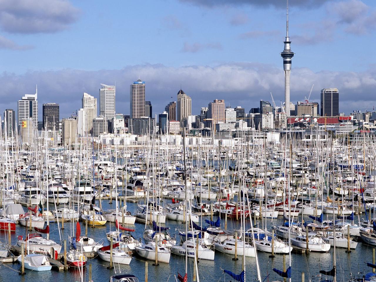 обои Westhaven Marina, Auckland, North Island, New Zealand фото