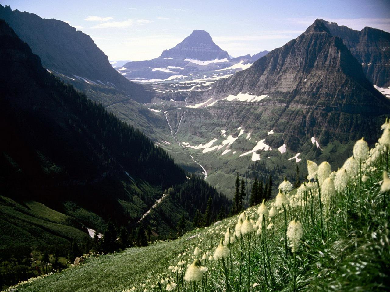 обои Mount Reynolds, Glacier National Park, Montana фото