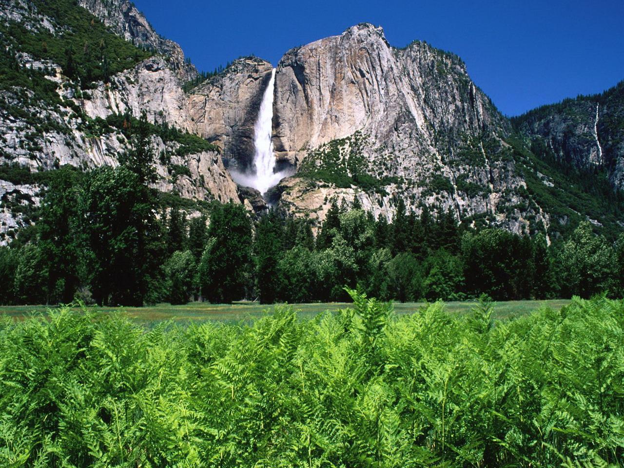 обои Yosemite Falls, California фото