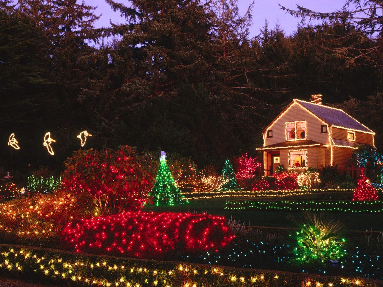 обои Holiday Lights, Shore Acres State Park, Oregon фото