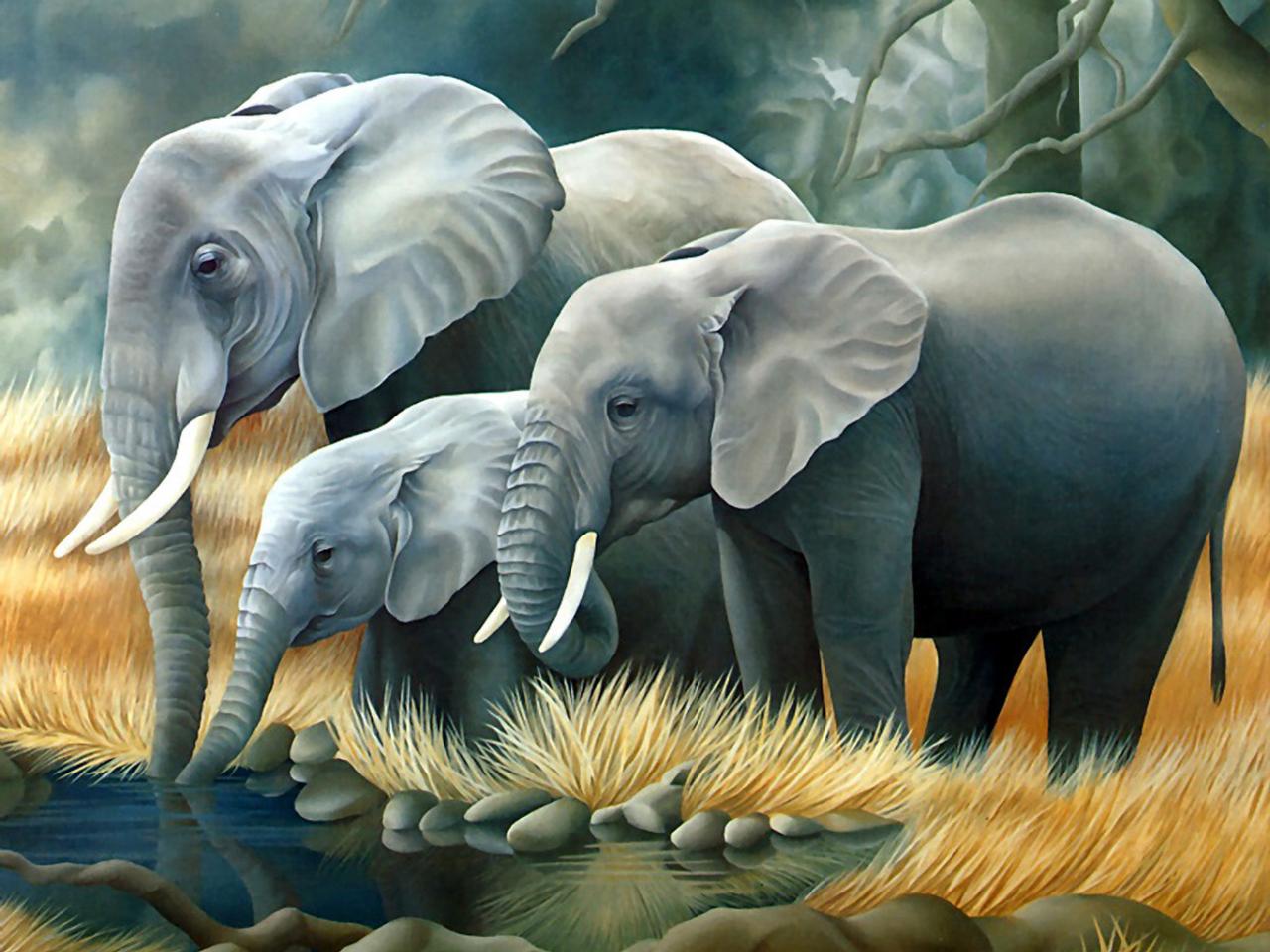 обои Слоны на водопое фото