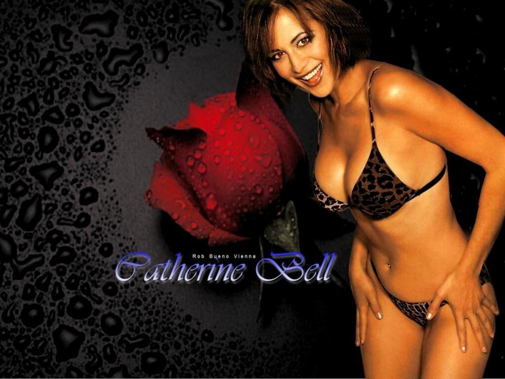 обои Catherine Bell фото