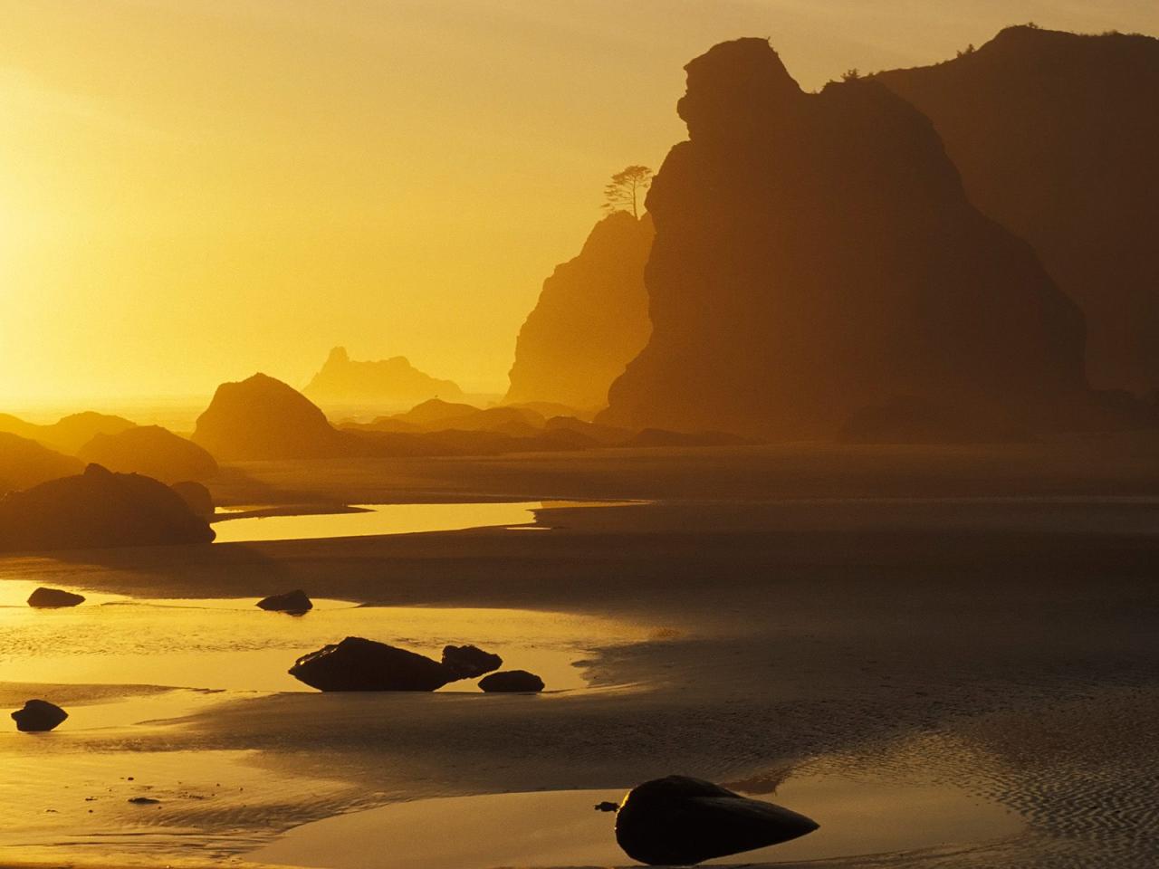 обои Shi Shi Beach Reflection, Olympic National Park, Washington фото