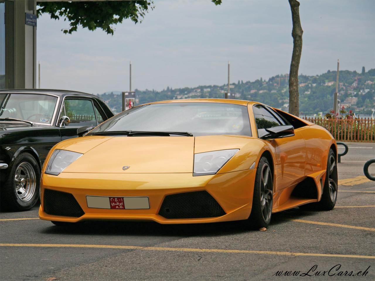 обои Lamborghini lp фото