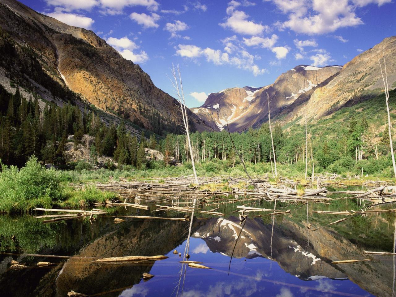 обои Beaver Pond, Lundy Canyon, Sierra Nevada Range, California фото