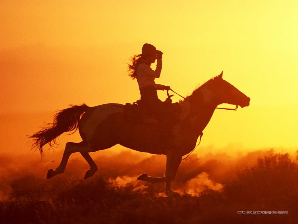 обои Девушка на коне фото