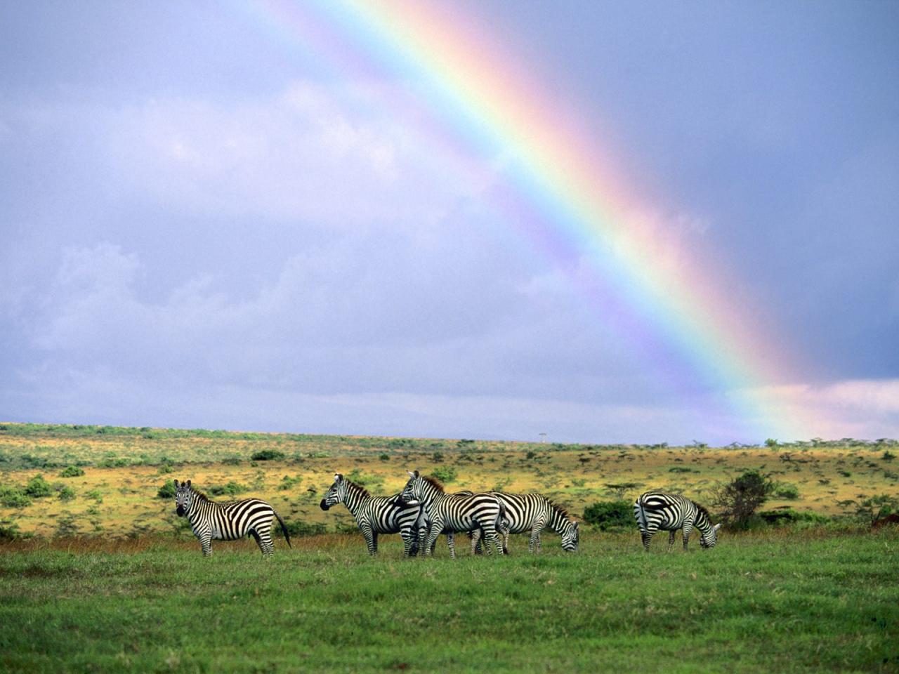 обои After the Storm, Kenya, Africa фото