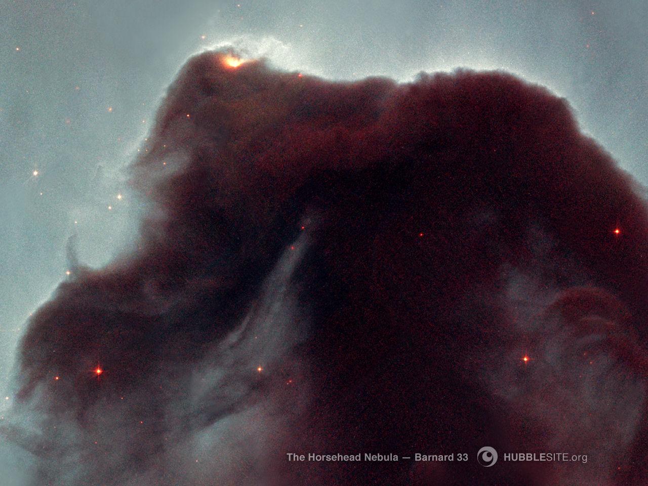 обои Галактика Horsehead Nebula фото