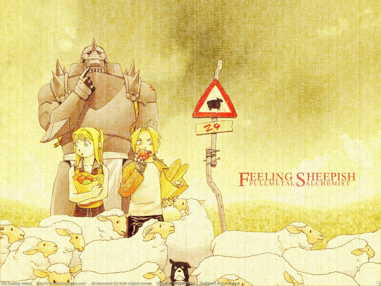 обои Fullmetal alchemist feeling sheepish фото