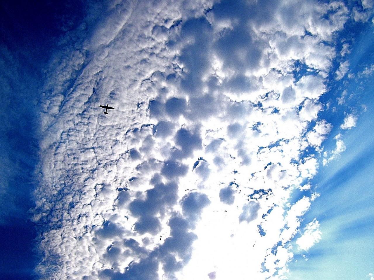 обои Самолет в небе фото