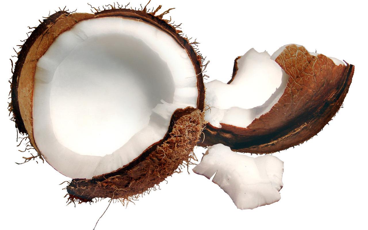 обои Спелый кокос фото