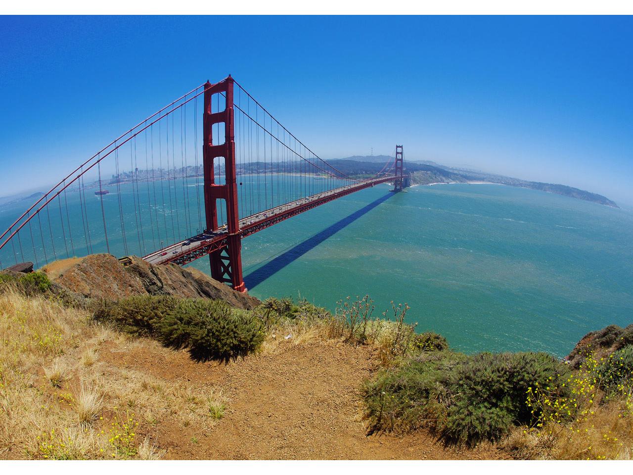 обои San Francisco bridge фото