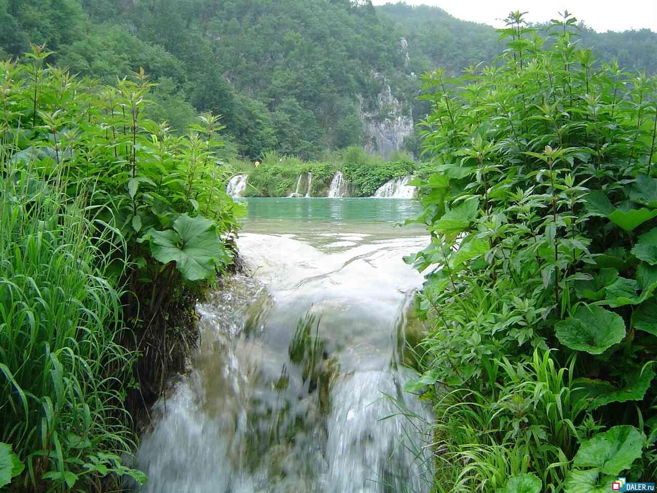 обои Водопад в зелени фото