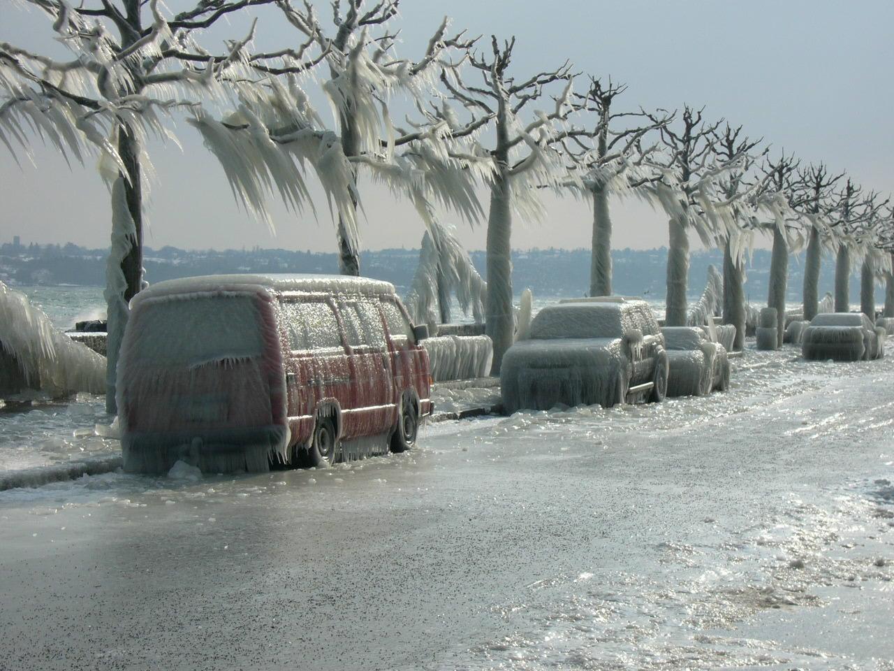 обои Замерзшая дорога фото