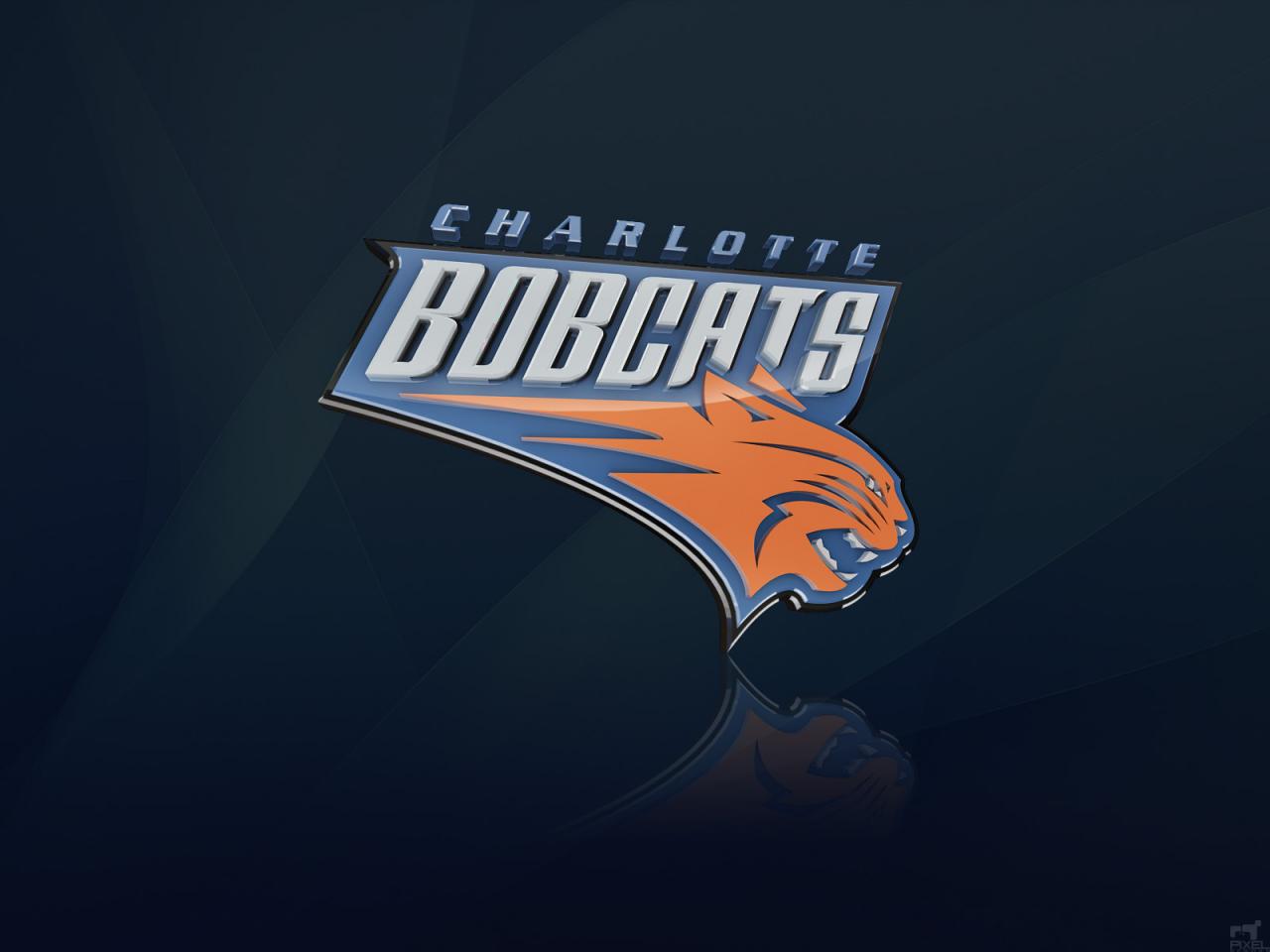 обои NBA Charlotte Bobcats фото