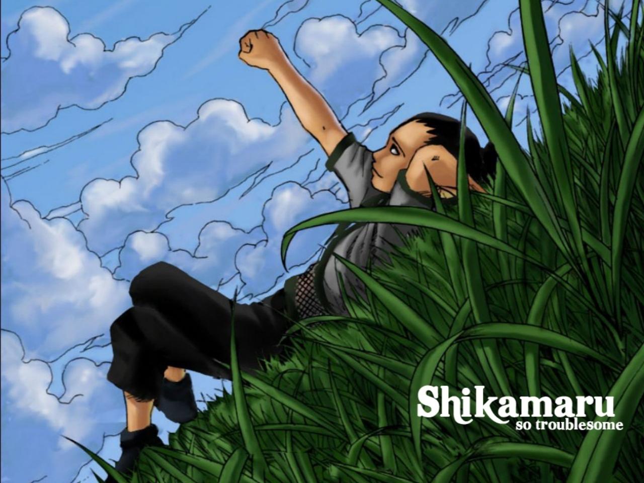 обои Nara Shikamaru so troublesome фото