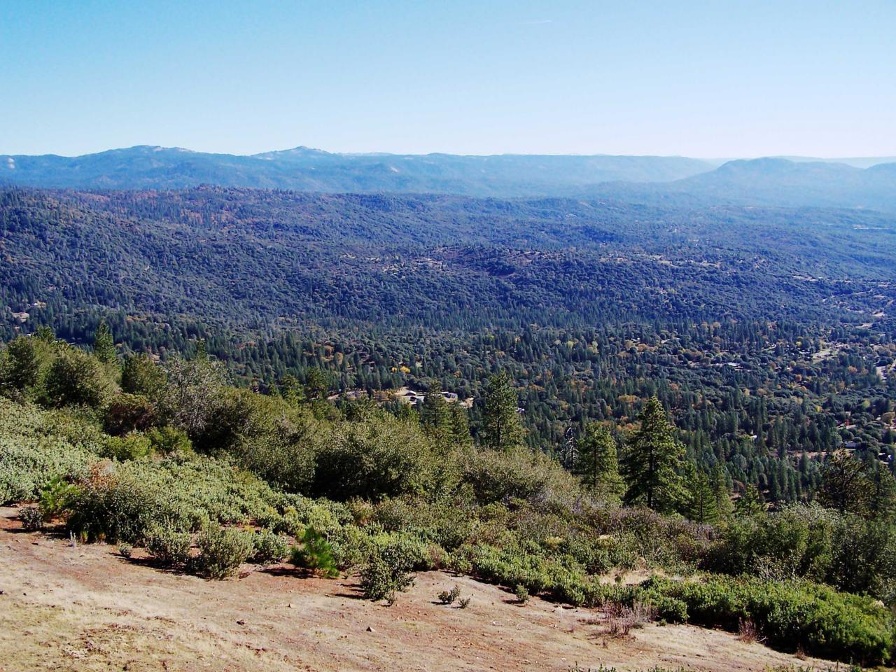 обои Sierra National Forest фото