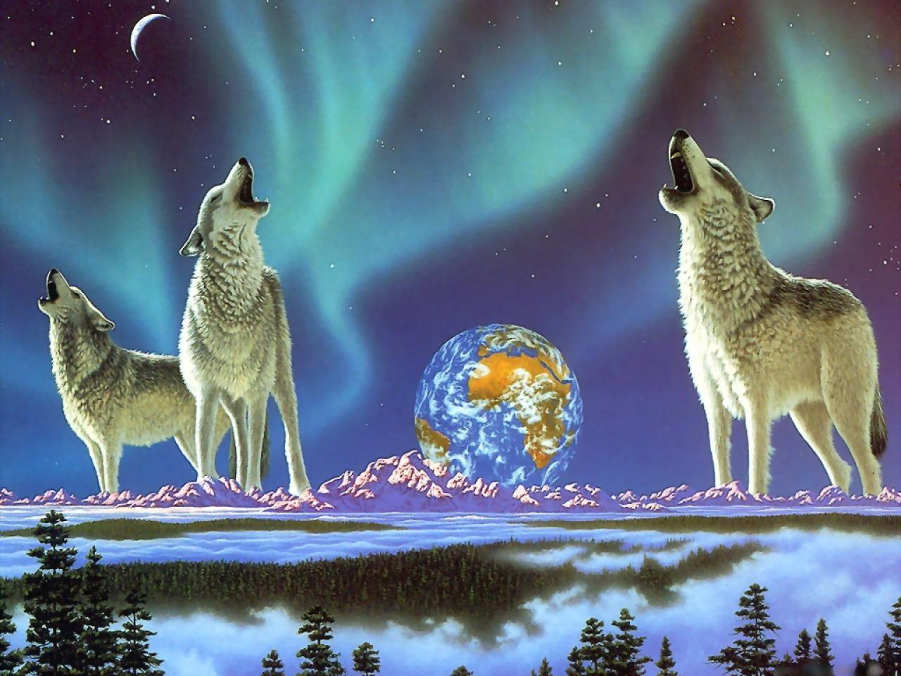 обои Волки воют на луну фото