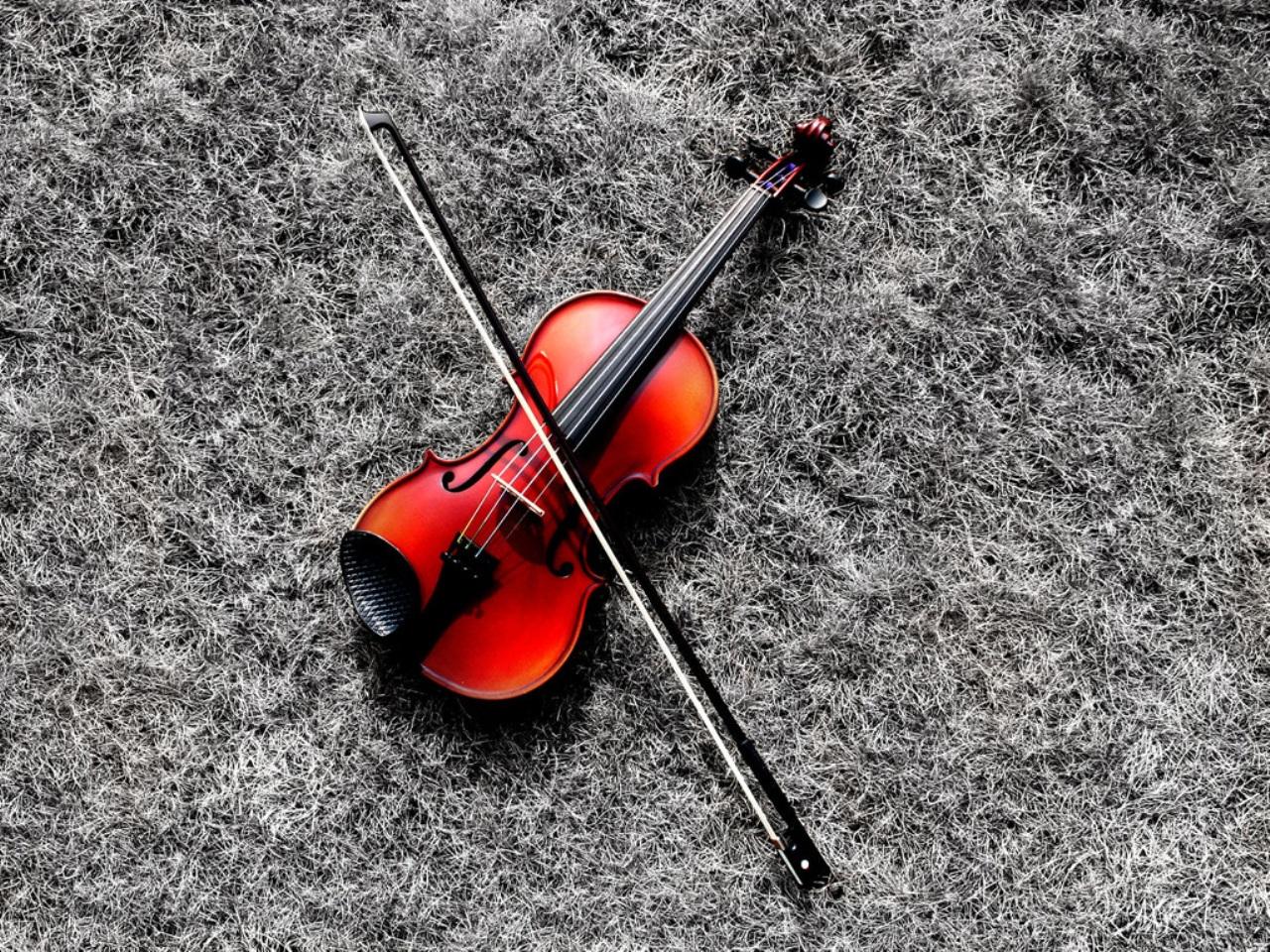 обои Red Violin фото