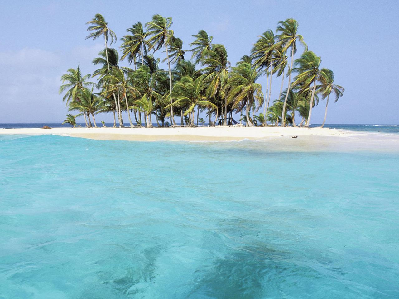обои Пальмовый островок среди кристальных вод фото