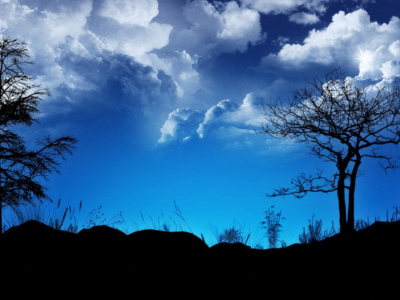 обои Два дерева на фоне темно-синего неба фото