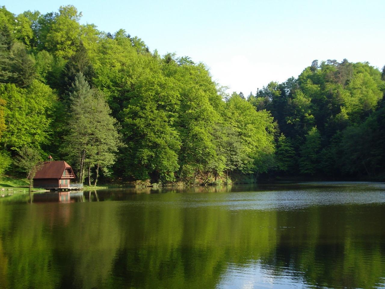 обои Чистое озеро, домик и деревья фото