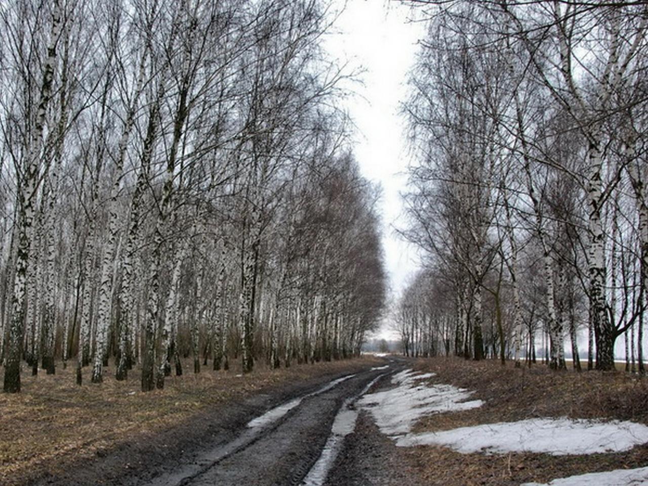 обои Весеннии дороги фото