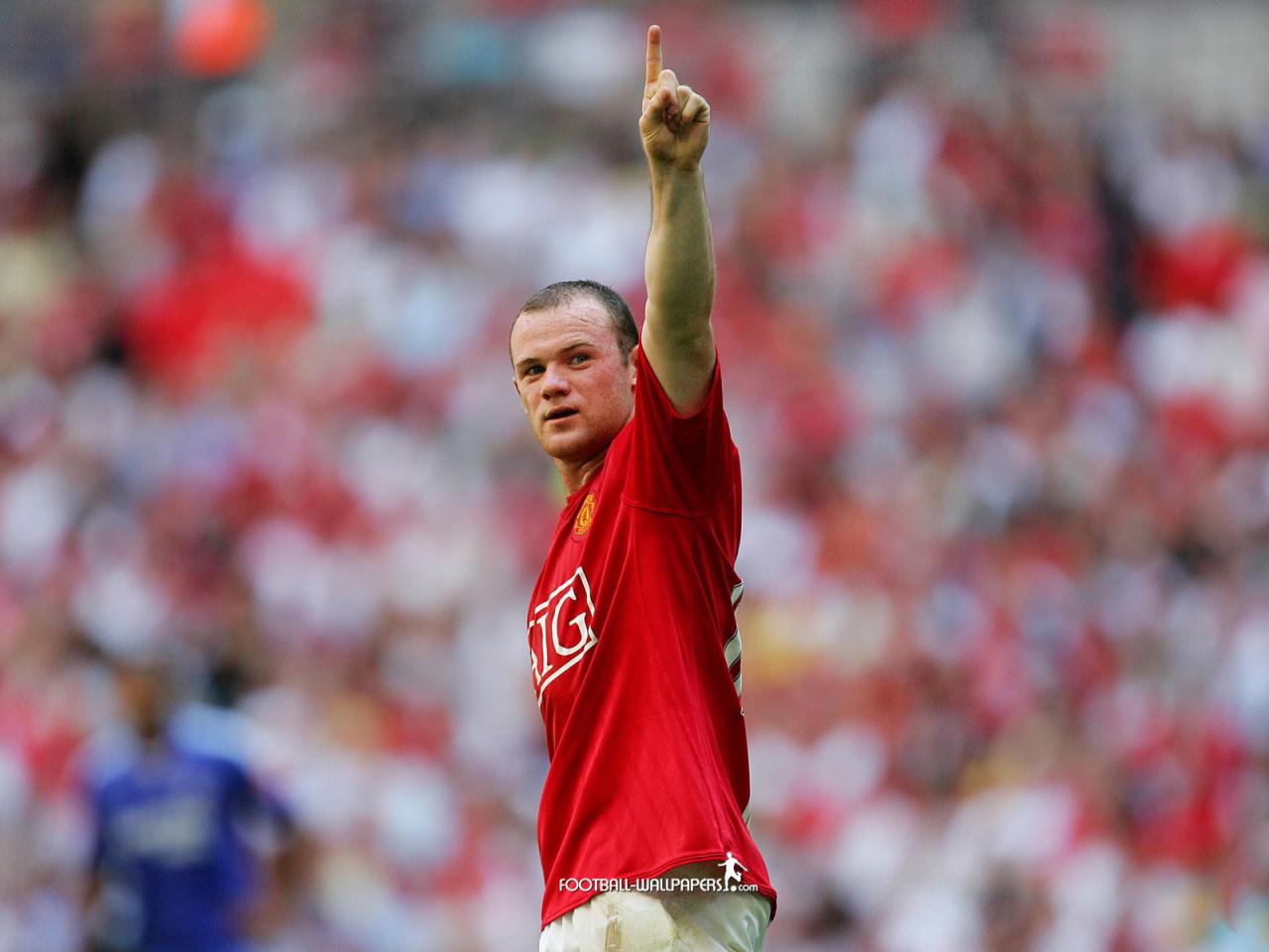 обои Wayne Rooney фото