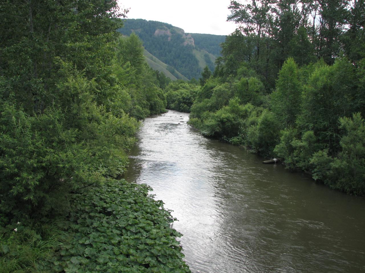 обои Река Базаиха фото