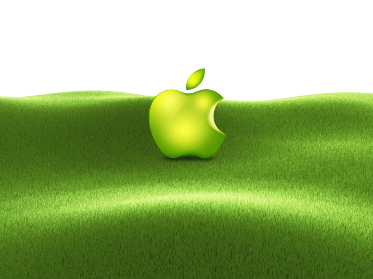 обои Apple company фото