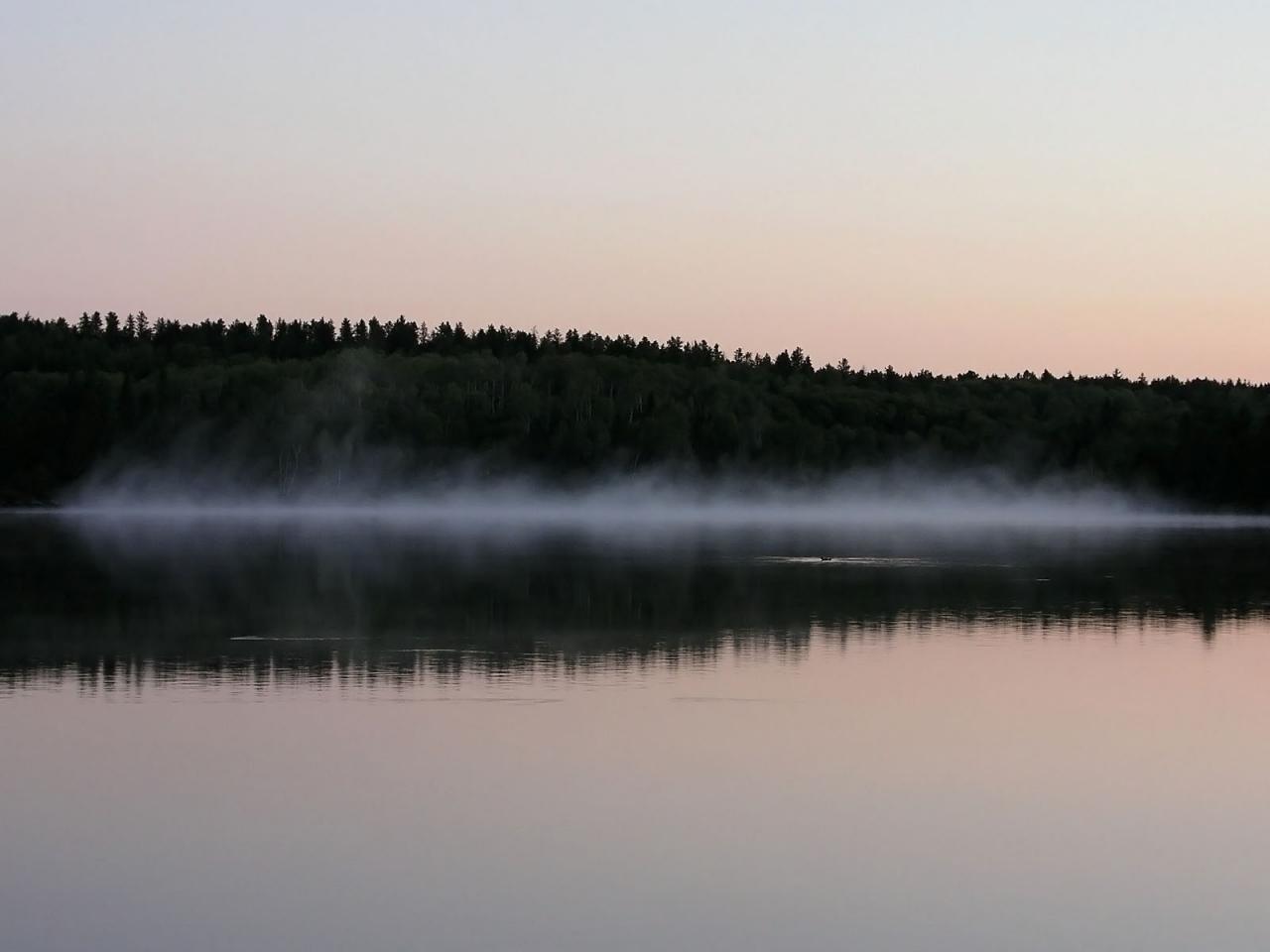 обои Misty morning on the lake фото