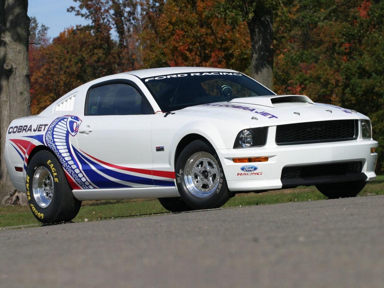 обои Ford Mustang FR500CJ Cobra Jet фото