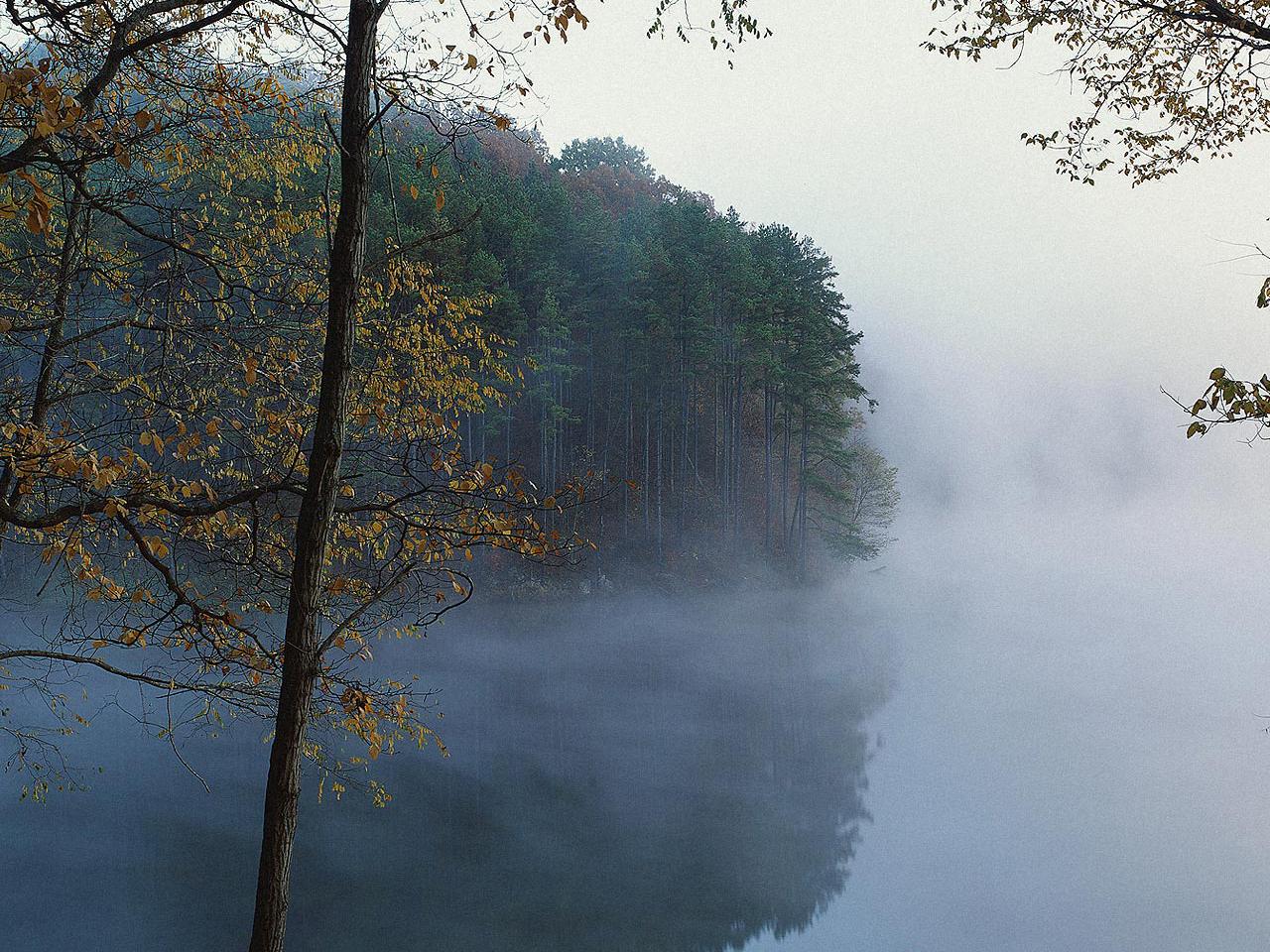 обои Misty river фото