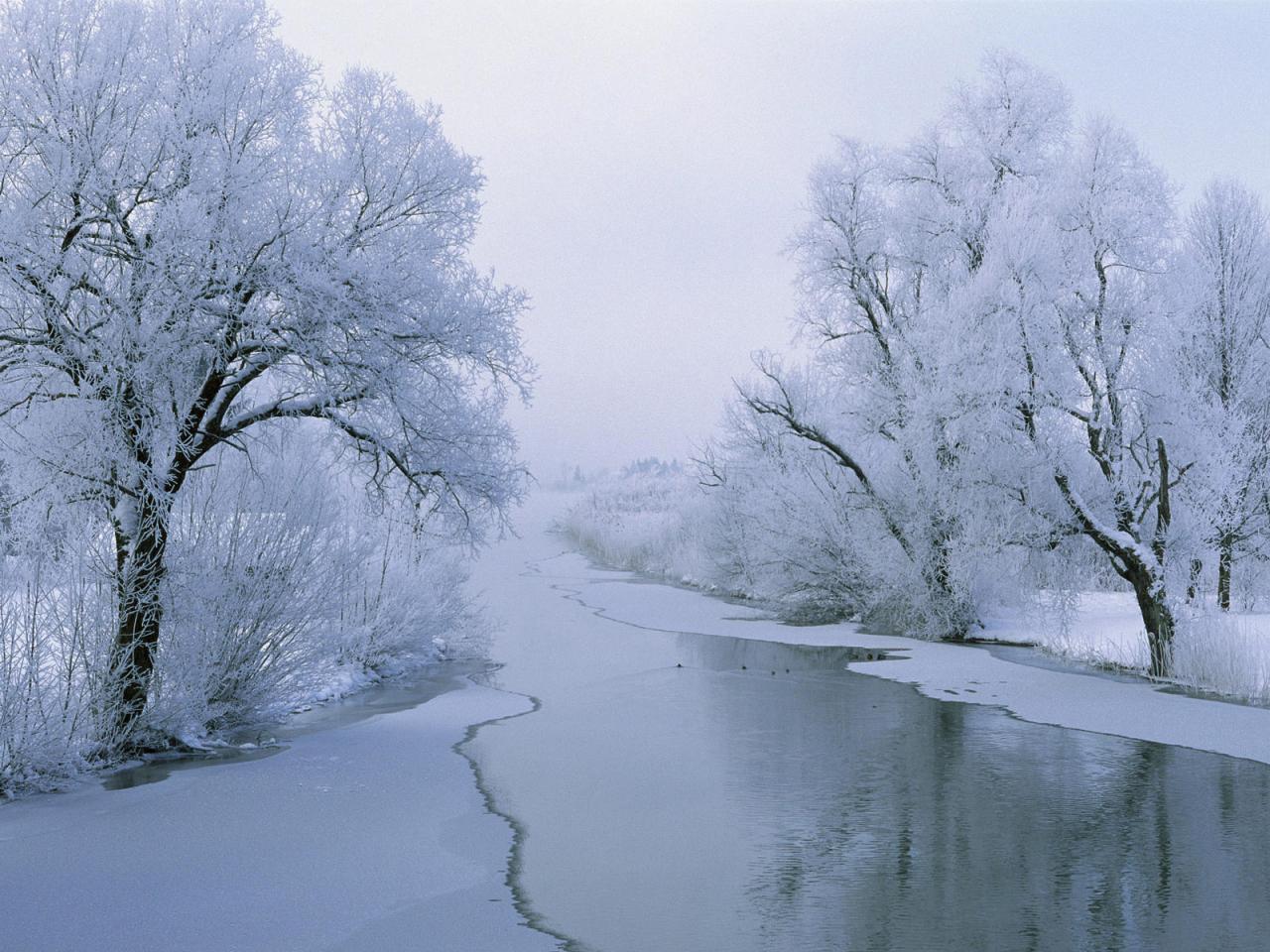 обои Река среди снежных лесов фото