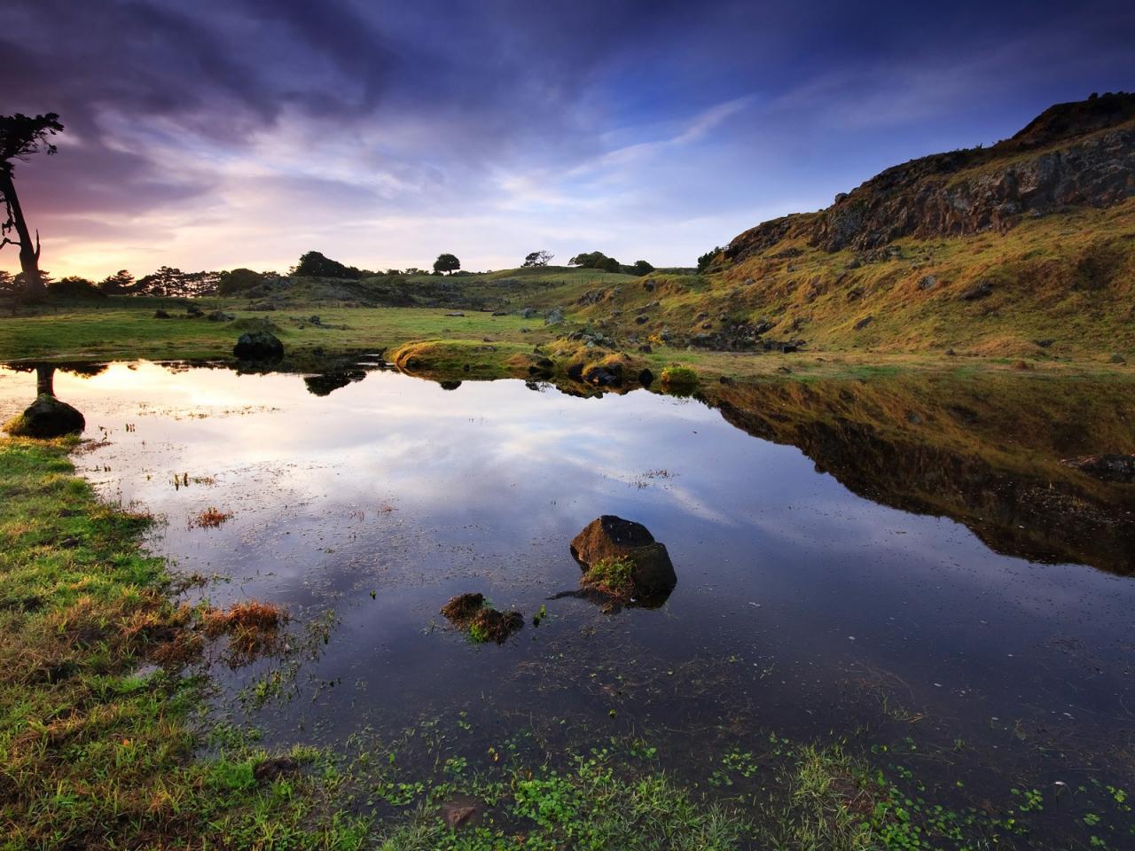 обои Sunrise at Otuataua Stonefields, Auckland, New Zealand фото