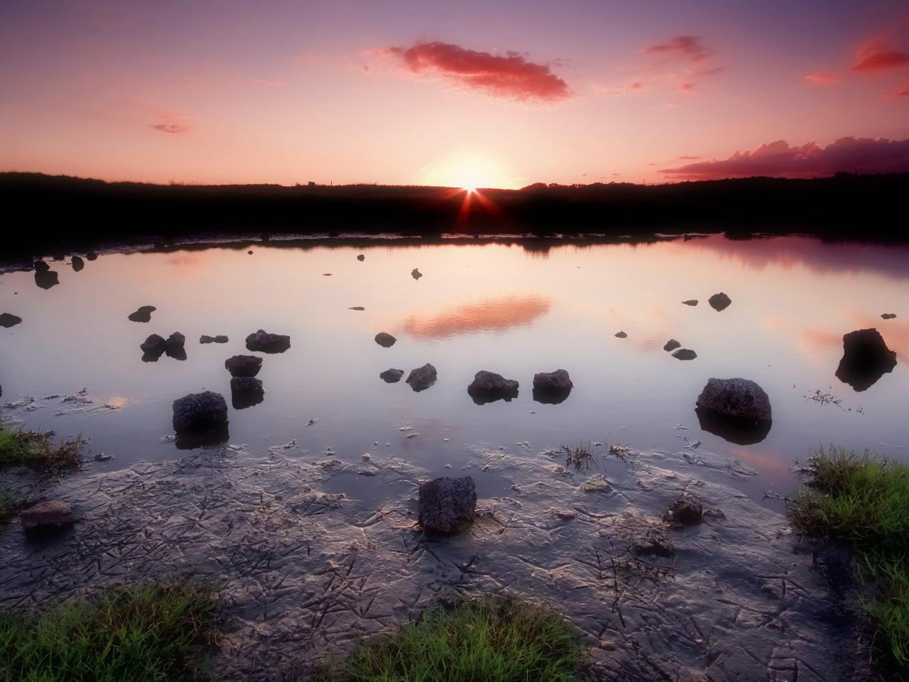 обои Sunset at Ambury Park, Auckland, New Zealand фото