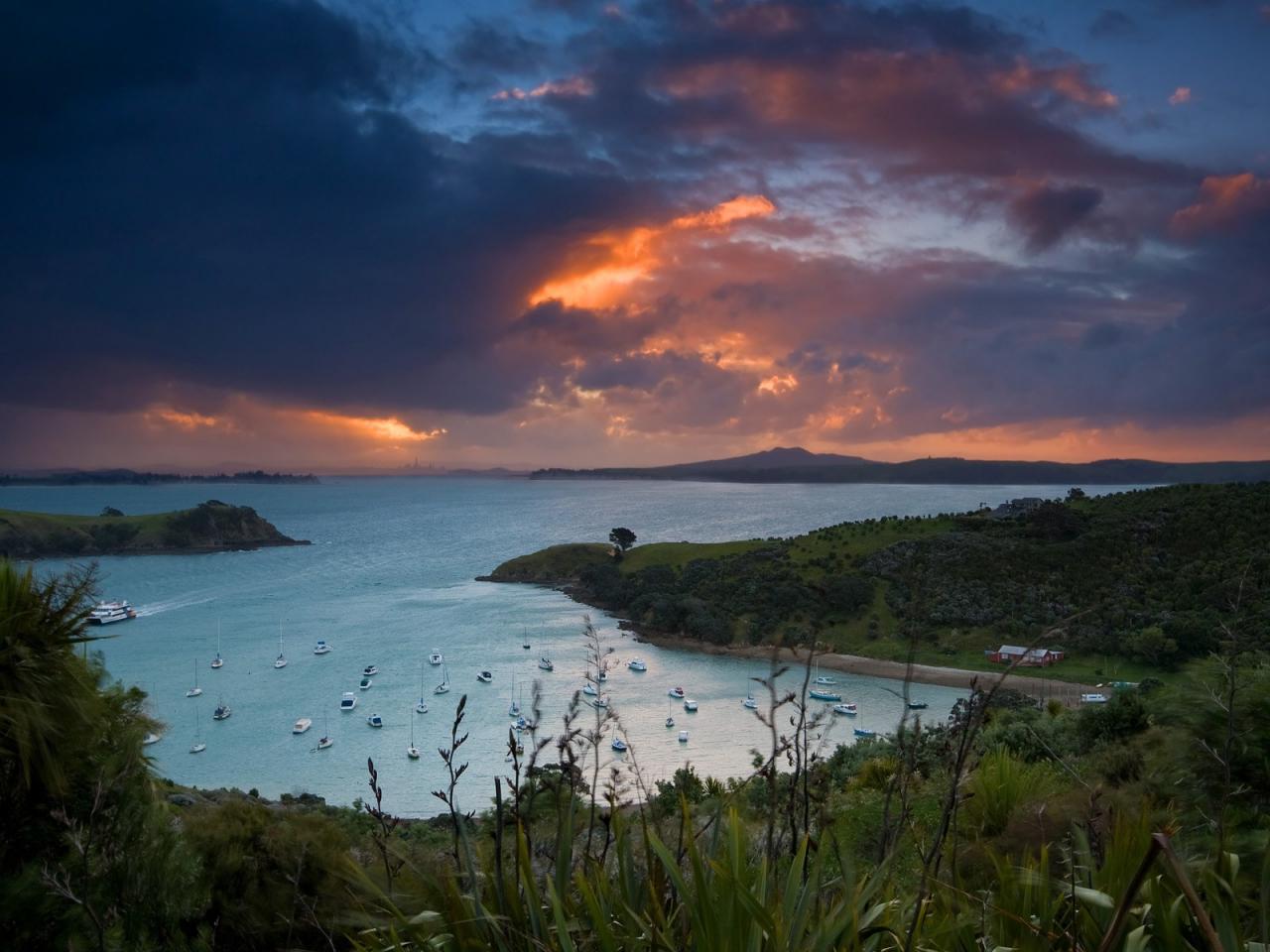 обои Waiheke Island, New Zealand фото