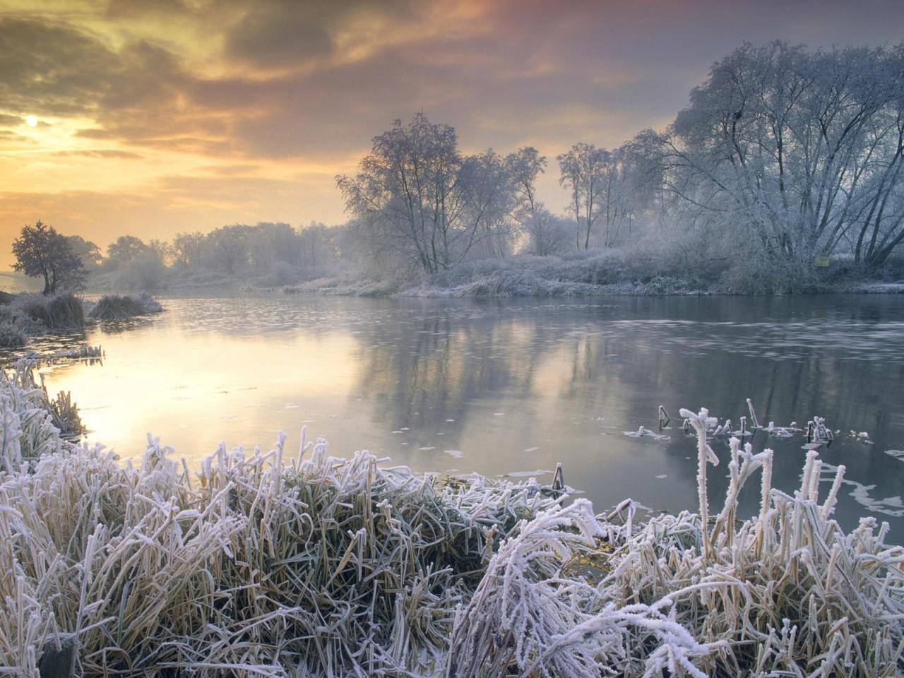 обои Frosty Morning фото