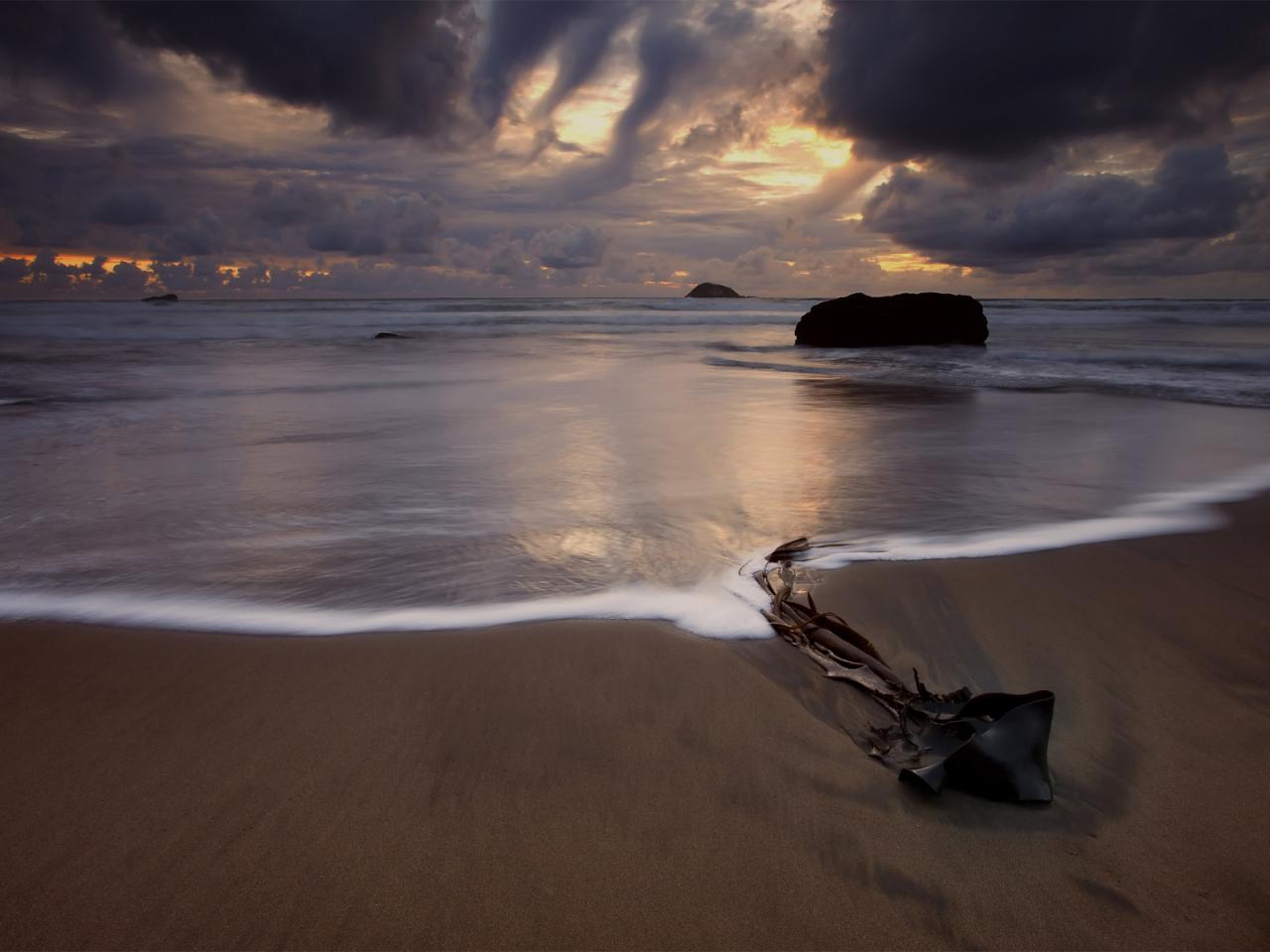 обои Beach On the seashore фото