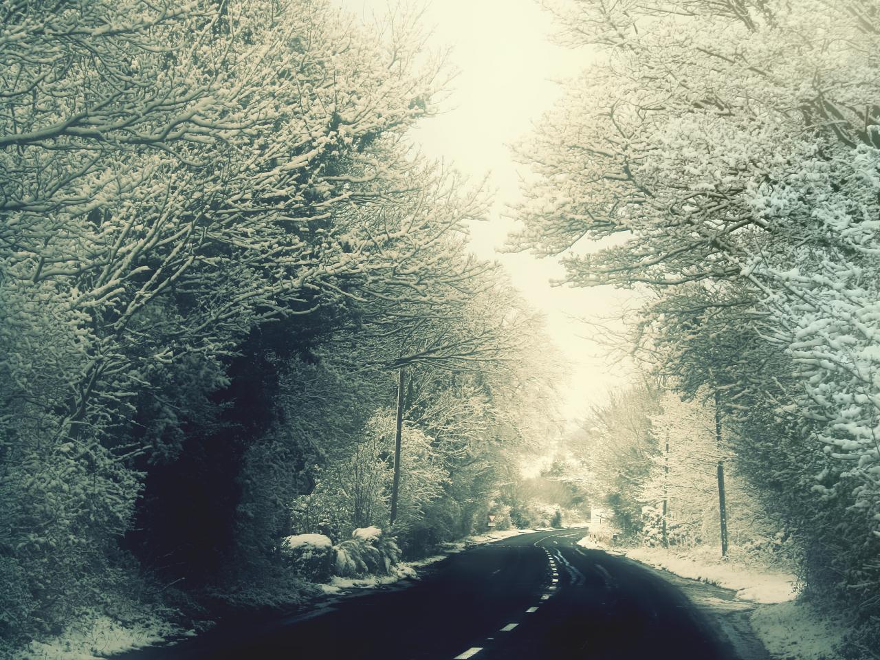 обои Road through the winter forest фото