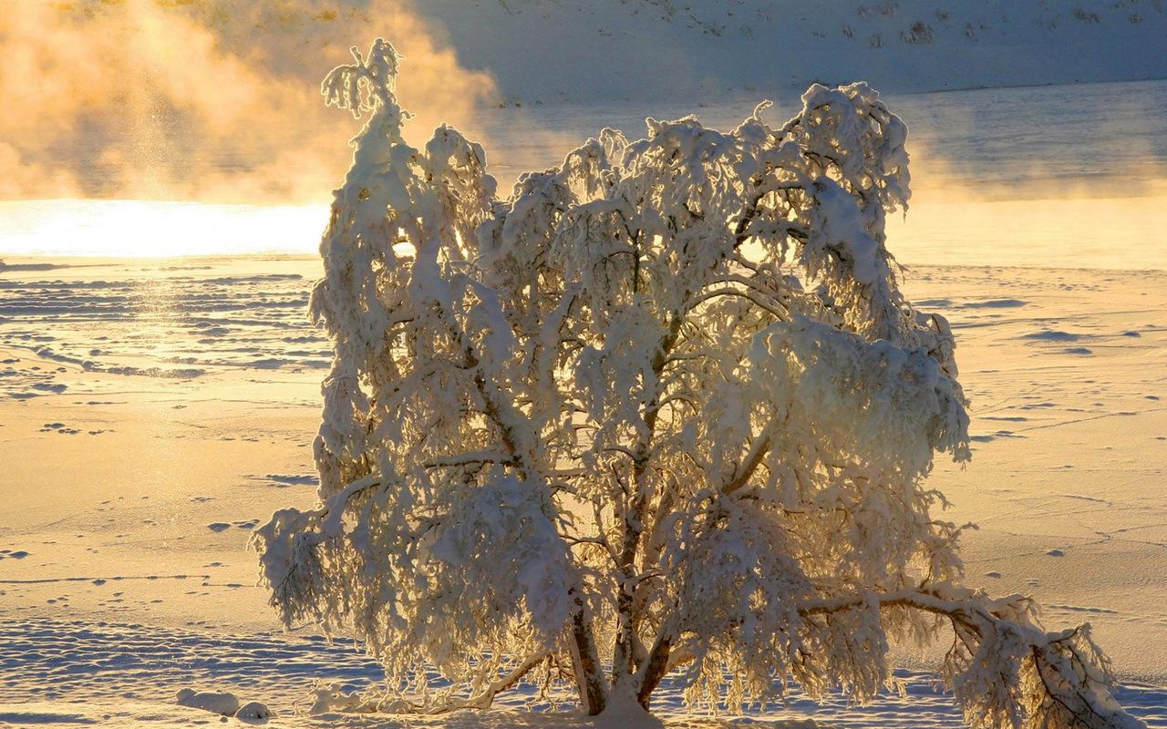 обои В пушистых одеждах фото