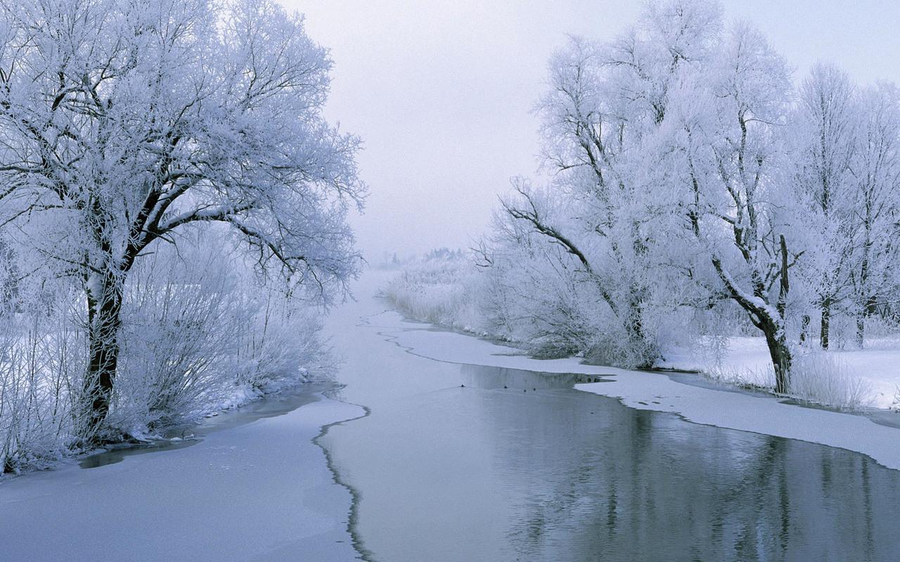 обои Река между снежными деревьями фото