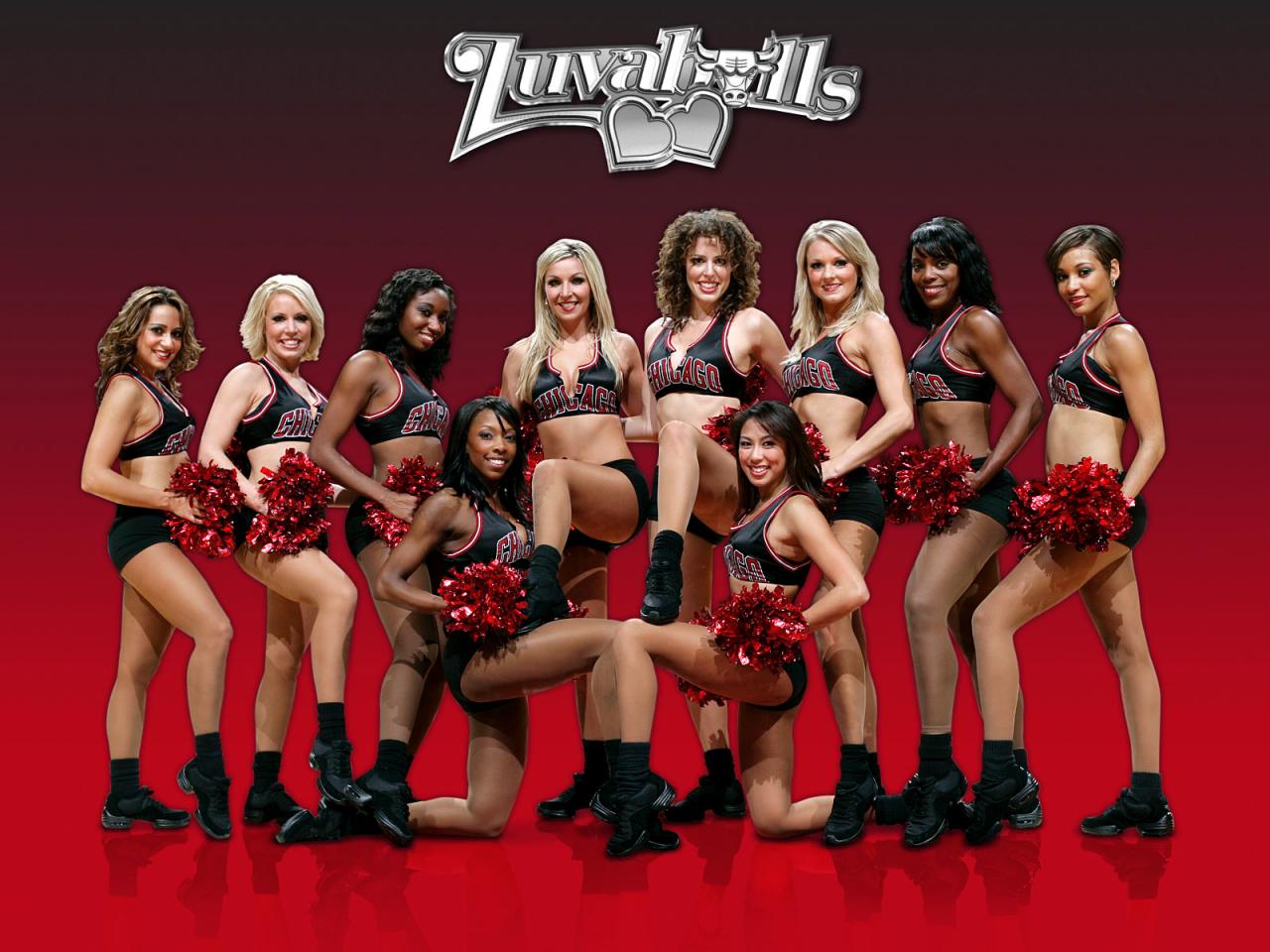 обои Поддержка LuvaBulls фото